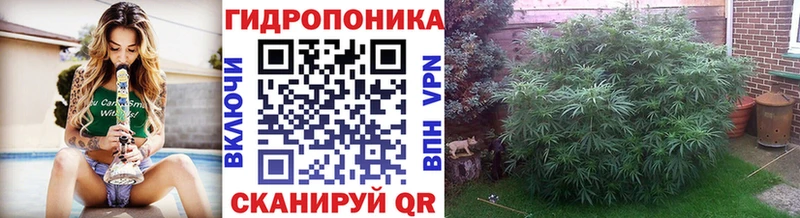Виды наркотиков купить Прохладный А ПВП  МЕФ  Экстази  Гашиш  ссылка на мегу ТОР  АМФ 