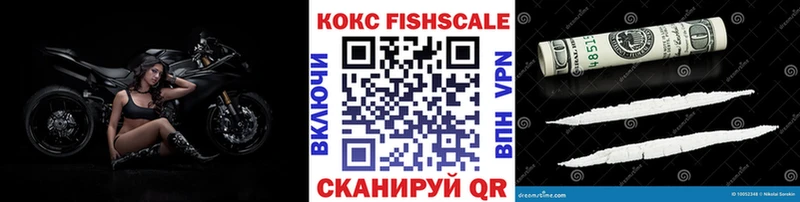 сколько стоит  Прохладный  Cocaine Fish Scale 