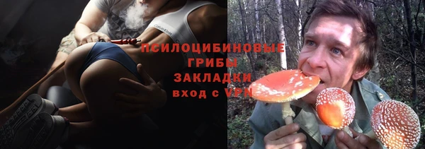 Альфа ПВП Алзамай