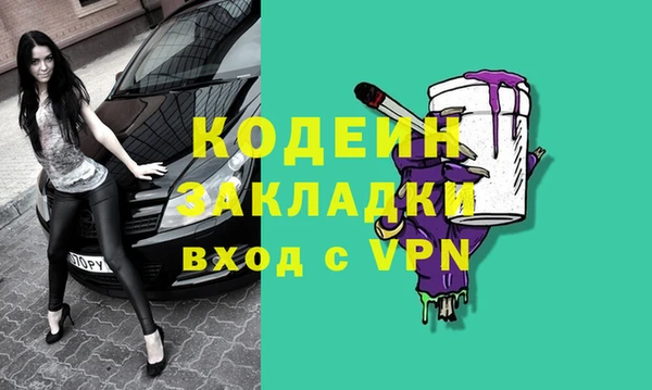 прущие грибы Осинники