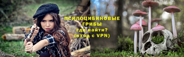 Альфа ПВП Алзамай