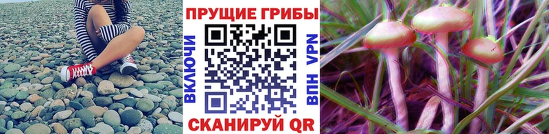 Галлюциногенные грибы ЛСД  Прохладный 